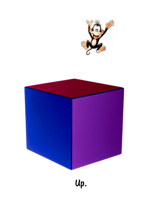 Monkey Up, Monkey Down!